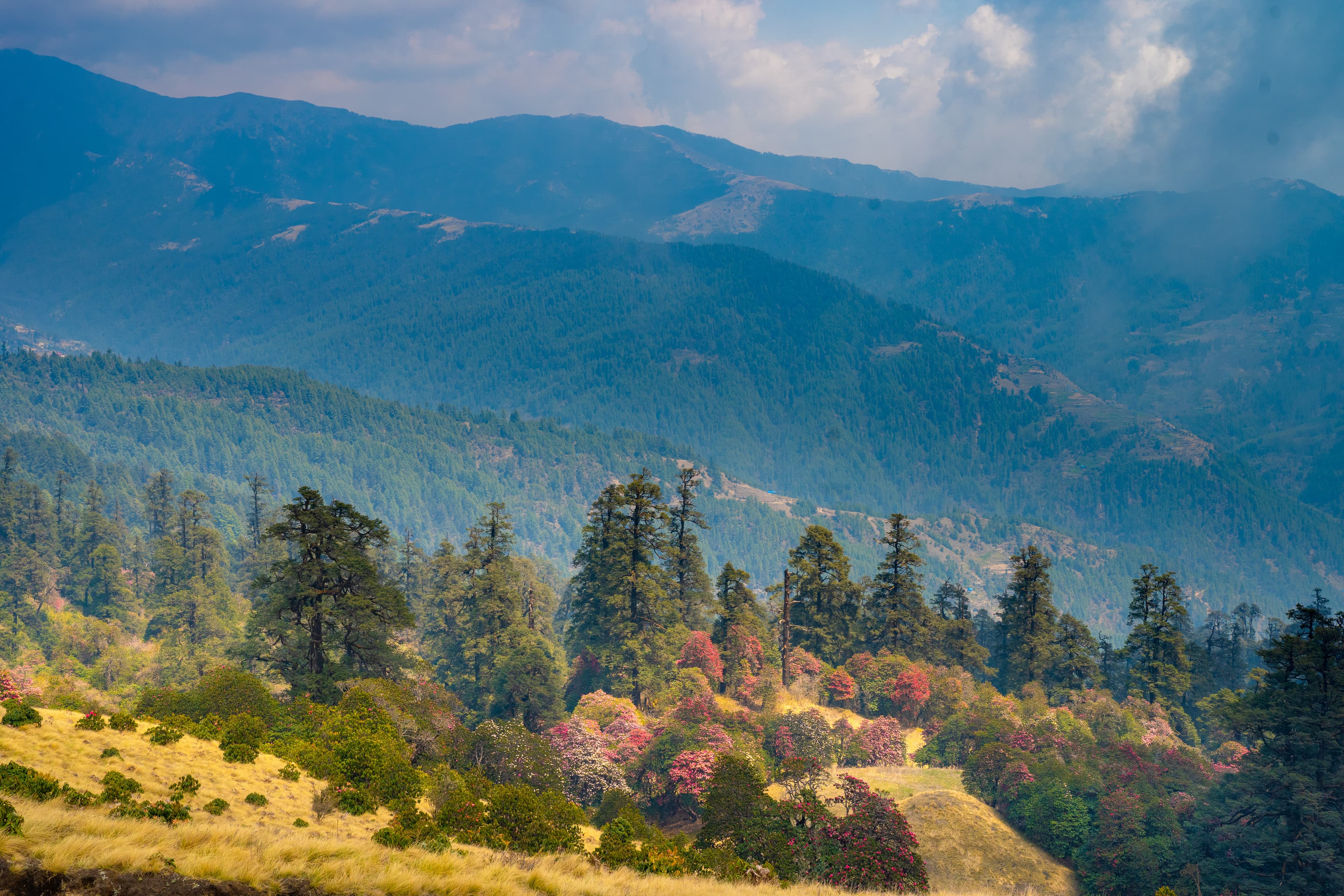 Grand panorama of the frozen Himalayan peaks